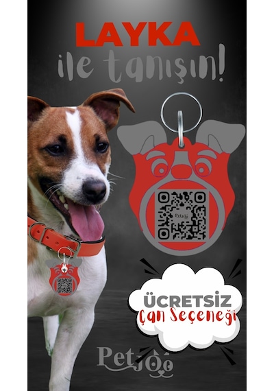 Petjoo 22.Layka Gri-Kırmızı Qr'lı Köpek Künyesi