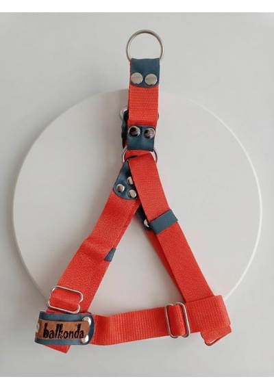 Köpek Göğüs Tasması Orta Ve Büyük Irk Ayarlamalı Kolon Kordon Neon Turuncu