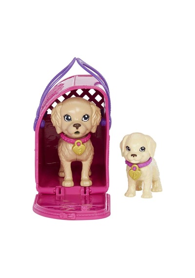 Hkd86 Barbie Ve Köpekçikleri Oyun Seti
