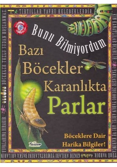 Bunu Bilmiyordum Bazı Böcekler Karanlıkta Parlar Böcekler Hakkıda Harika Bilgiler - Flowerpot Press - Teleskop Popüler Bilim