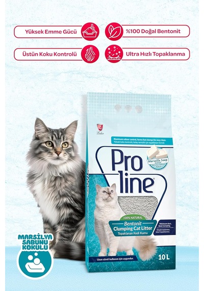 Sabun Kokulu Bentonit Kedi Kumu, 10 L