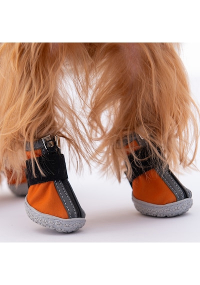 Pawstar Turuncu Köpek Ayakkabısı