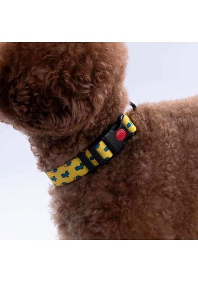 Cactus Kaktüs Desenli Köpek Boyun Tasması Ayarlanabilir Köpek Tasması Sarı