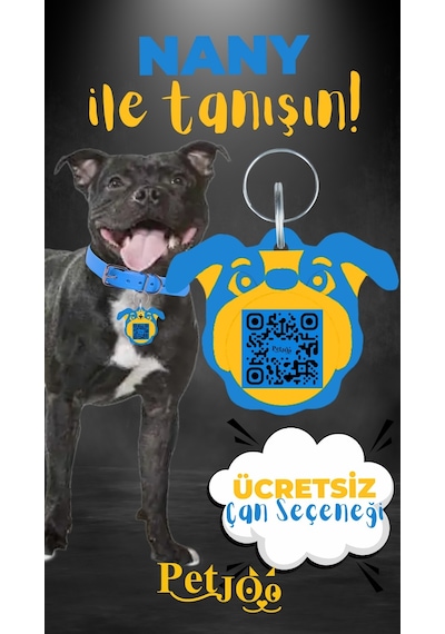 Petjoo 17.Nany Sarı-Mavi Qr'lı Köpek Künyesi