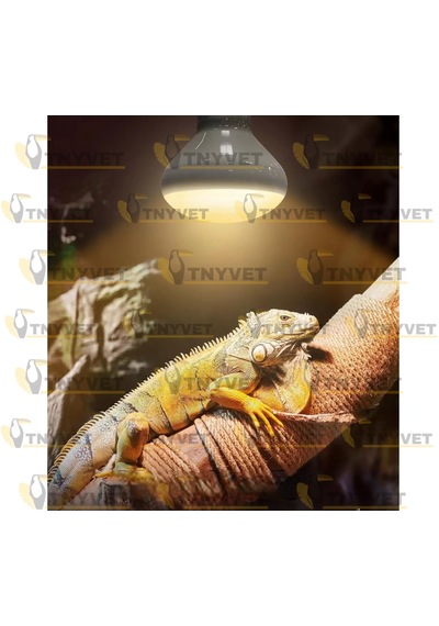 Tnyvet 100 Watt / Gün Işığı Güneş Lambası Isıtıcı Lamb