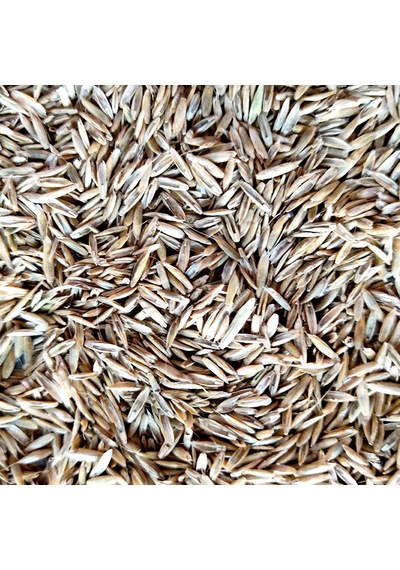 Eşref Şekerli ReyGRas Otu Tohumu 5 KG
