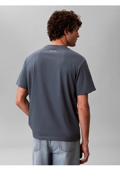 Calvin Klein Ss 20s Calvınkleın T, Ceg Gri Erkek T-shirt