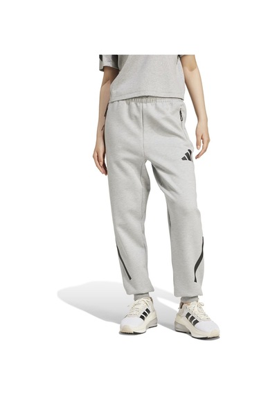 Adidas Kadın Eşofman Altı W Z.n.e. Pt Jd9586 gri