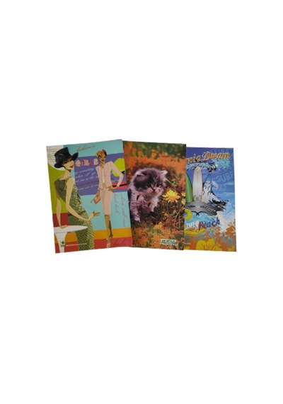 Defter 120 Sayfa Dikişli Karton Kapak A4 Defter . 3 Adet