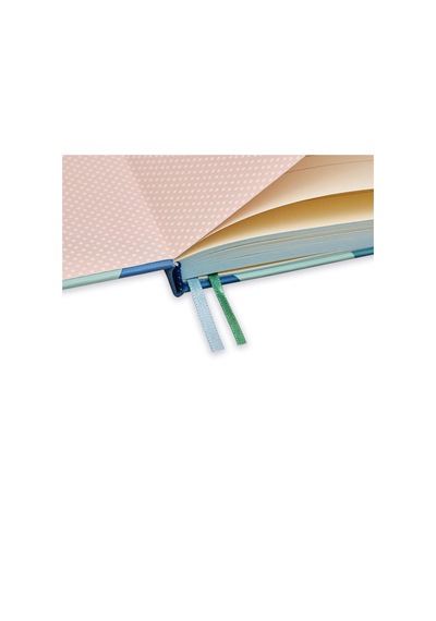 19x25 Ciltli Stripe - Spectrum Circle Çok Renkli