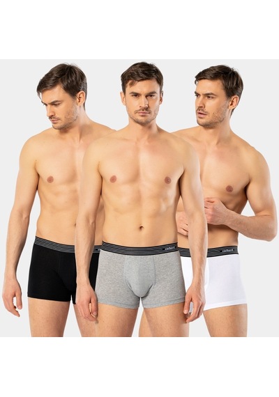 Cacharel Erkek 3'lü Boxer 1320/beyaz-siyah-gri Çok Renkli