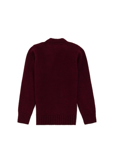U.s. Polo Assn. Erkek Çocuk Bordo Hırka Triko 50317150-vr014 Bordo