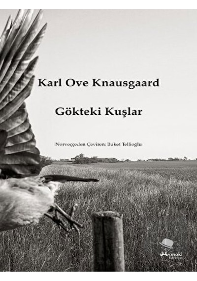 Gökteki Kuşlar - Karl Ove Knausgaard - Monokl