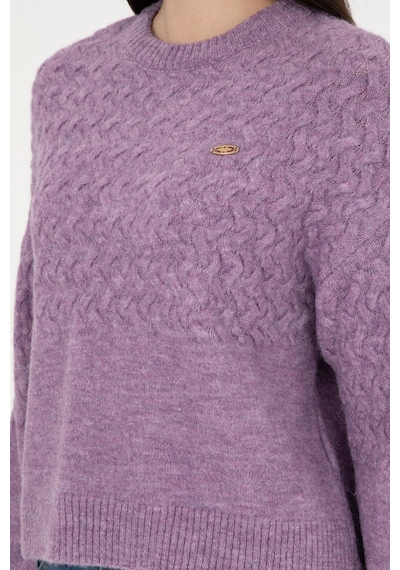 U.S. Polo Assn. Kadın Menekşe Melanj Bisiklet Yaka Kazak 50293156-VR228