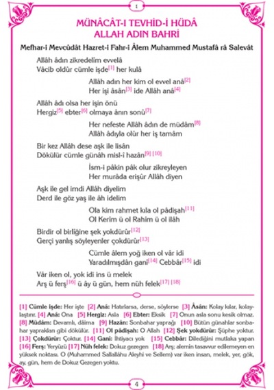 Tam Musahhah Mevlid-İ Şerif Ilahi Ve Kasidelerle (Ayfa066)