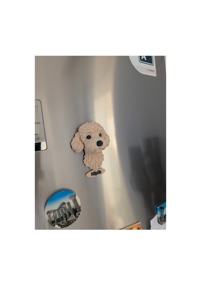 Kişiye Özel Toy Poodle Köpek Magneti Köpeğinizin İsmi Yazılı Dekoratif Buzdolabı Magneti Sevimli Köpek Figürü