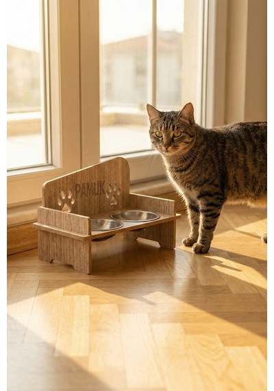 Pikas Pati Mama Kabı 2 Kaseli Kedi Köpek Suluk Mamalık Ve Paspas