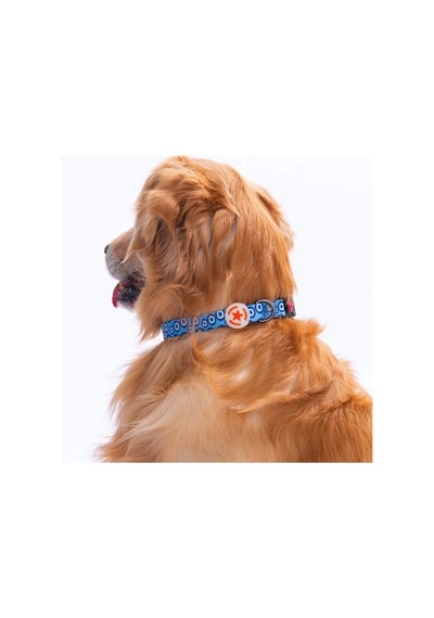 Pawstar Charm Boyun Tasması M Boyun Çevresi: 32 Cm X 48 Cm Çok Renkli