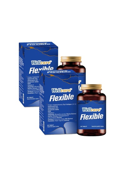 Wellcare Flexible 2 x 60 Tablet