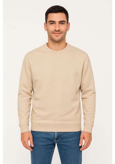 Barlashive Erkek 3 İplik Pamuklu Düz Bisiklet Yaka Sweatshirt - Bej Çok Renkli