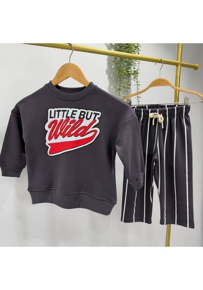 Little But Wild Baskılı Sweatshirt Erkek&kız Çocuk Antrasit Çizgili Eşofman Alt Üst 3ip Takım Siyah Little But Wild Baskılı Sweatshirt Erkek&kız Çocuk Antrasit Çizgili Eşofman Alt Üst 3ip Takım Siyah