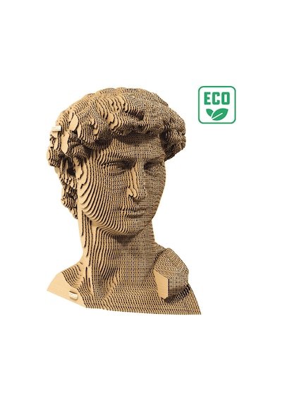 Cartonic 3d Puzzle - Davıd