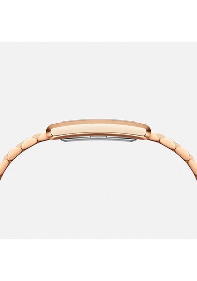 Daniel Wellington Dw00600699 Kadın Kol Saati Diğer