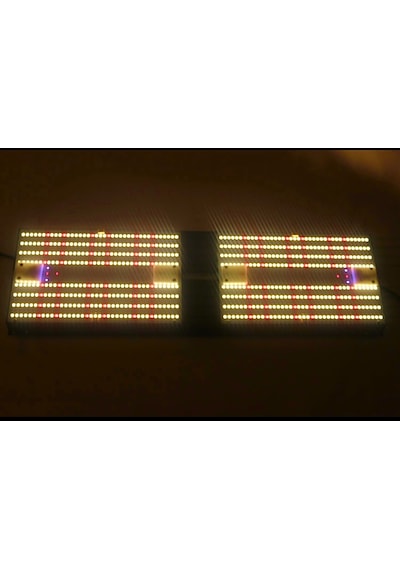 240w Lm283b Bitki Yetiştirme Lambası Full Spektrum