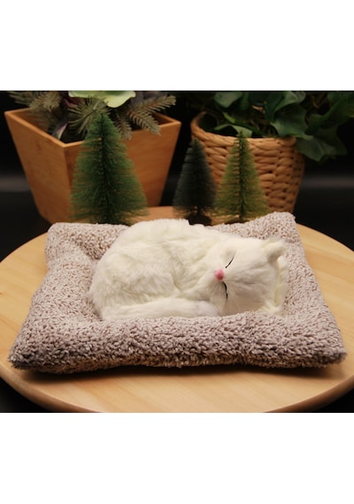 Minderde Uyuyan Sesli Peluş Kedi Cat Büyük Boy 22cmx25cm - Beyaz Kedi