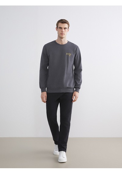 Lcw Eco Antrasit Bisiklet Yaka Baskılı Erkek Sweatshirt