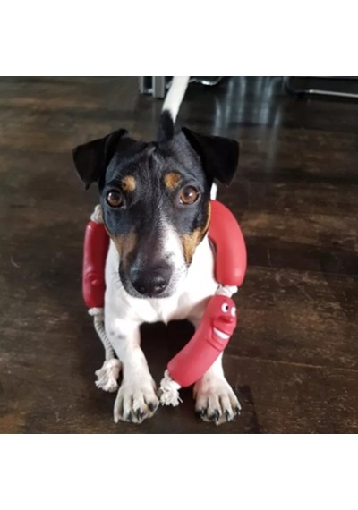 Buffer Köpekler için Sosis 4'lü 48 CM Köpek Oyuncağı
