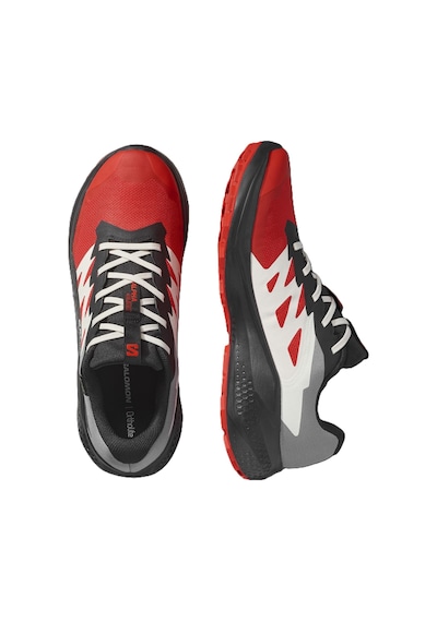 Salomon Alphaglıde Gore-tex Erkek Ayakkabısı L47975200 Çok Renkli