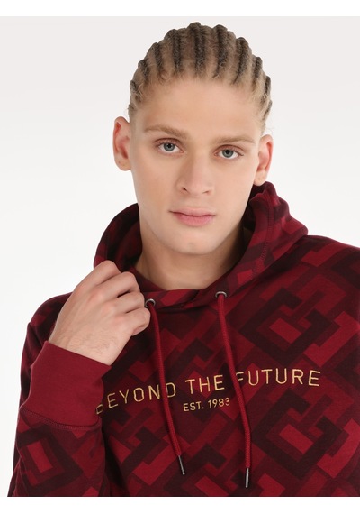 Colin's Colins Regular Fit Baskılı Kapüşonlu Mor Erkek Sweatshirt Mor