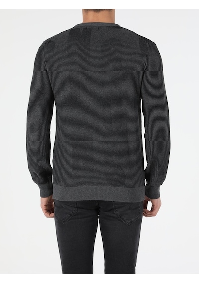 Colin's Slim Fit Bisiklet Yaka Erkek Antrasit Kazak CL1051569_Q1.V1_ANT