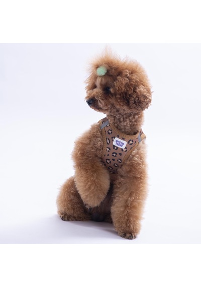 Wild Elegance Göğüs Tasması Ve Sevk Kayışı Tasma Seti Leopar Kedi Köpek Göğüs Tasması Seti Kahverengi
