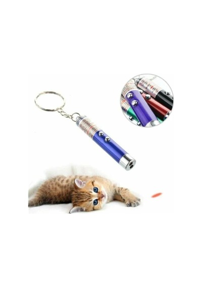 Lazer Kedi Oyuncağı Çok Renkli