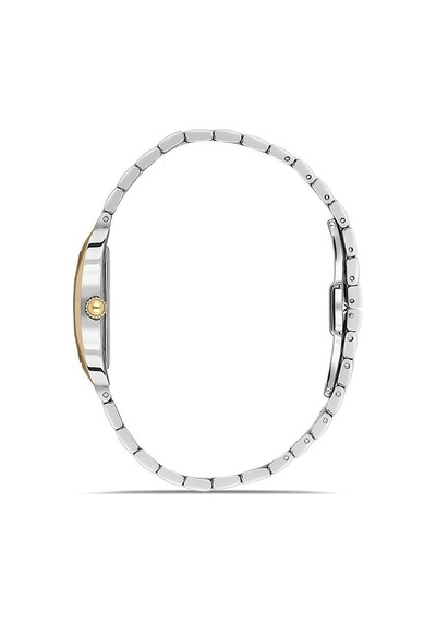 Momentus Cw310t-09sg Kadın Kol Saati Gri