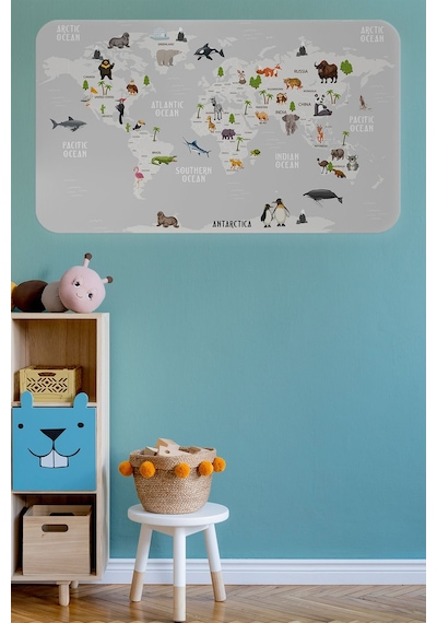 Eğitici Dünya Haritası Dünya Atlası Çocuk Ve Bebek Odası Duvar Sticker-85x130-3790 Çok Renkli