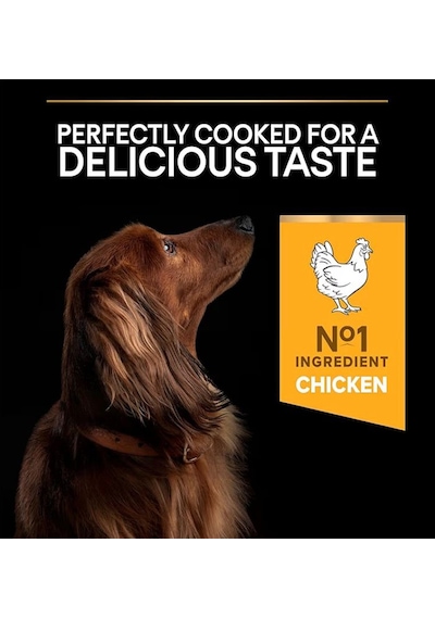 Pro Plan Small & Mini Adult Tavuklu Köpek Maması 3 Kg