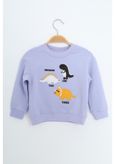 Toontoy Kids Toontoy Erkek Çocuk Relax Fit Bisiklet Yaka Hafif Düşük Omuz Nakışlı Sweatshirt Mavi