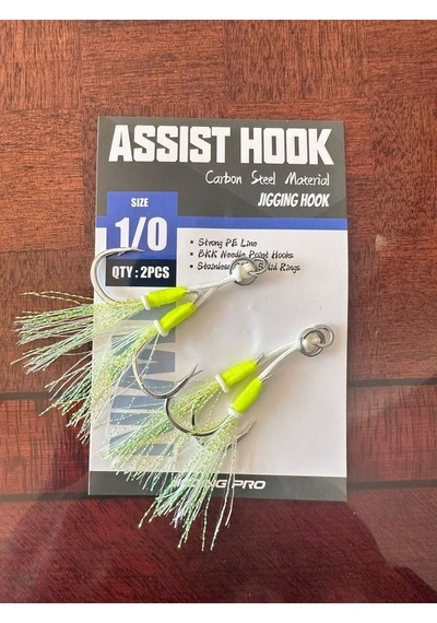 Jig Assist Hook 1/0 İkili Set