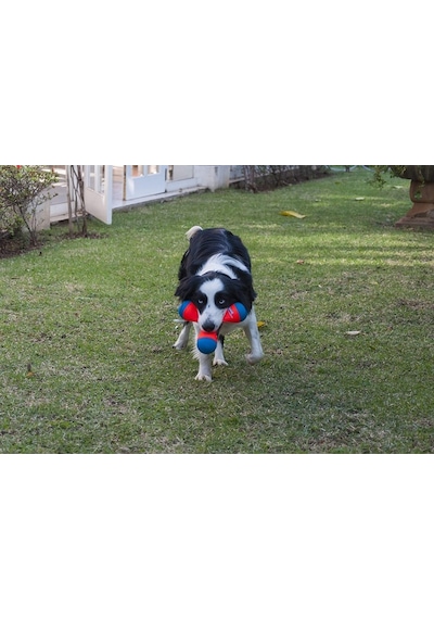 Chuckit! Tri-Bumper 3 Taraflı Bumerang Köpek Oyun Topu