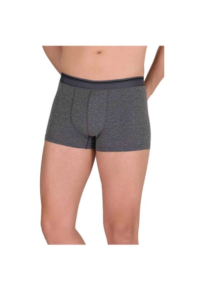 Likralı Erkek Boxer Şort Füme 1097b Beden: Xl Standart