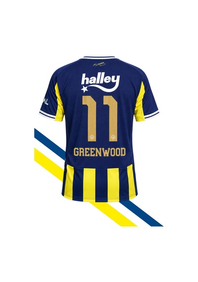 Fenerium Fenerbahçe Lisanslı Greenwood Forması Uv Kutu Sarı-lacıvert Uv
