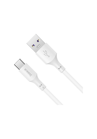 Baseus Simple Wisdom 100w Usb To Type-c Hızlı Data Şarj Kablosu- 5775