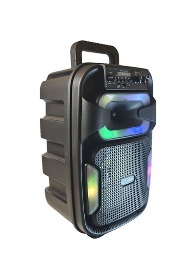 Gy-801 8 İnç Taşınabilir Uzaktan Kumandalı Karaoke Mikrofonlu Bluetooth Hoparlör Senalstore