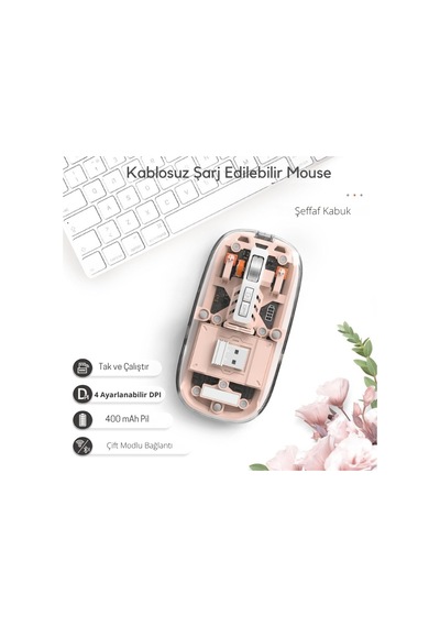 Pembe 501 Bt+ Wireless Mouse Zr1133