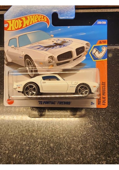 Hot Wheels 1/64 '73 Pontiac Firebird