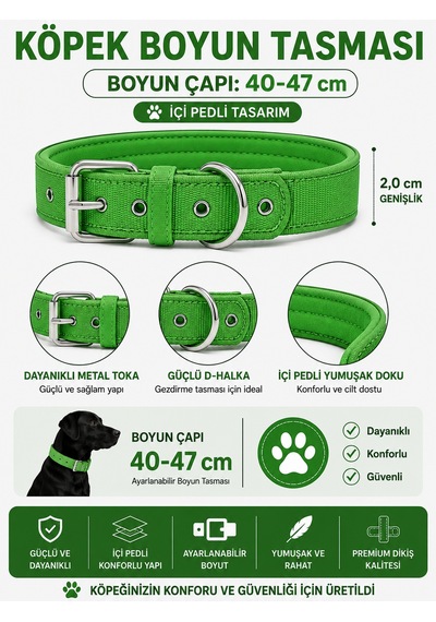 Pedli Köpek Boyun Tasması 40-47 Cm 2 Cm İçi Pedli Metal Tokalı D Halkalı - Yeşil Çok Renkli