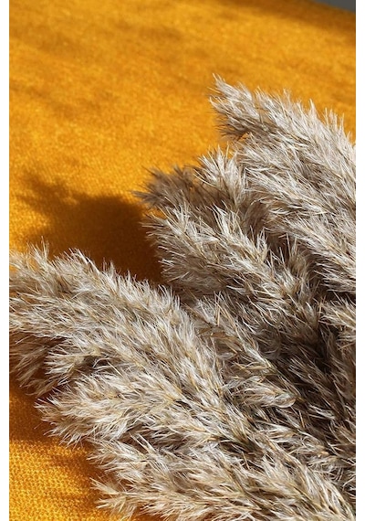 Alyones 10 Adet Kabarık Pampas Otu 100cm Doğal Kuru Pampas Dekor Boho Oda Çiçekleri Dekorasyonu Diğer